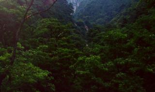 泰山的旅游费用 天津到泰山旅游