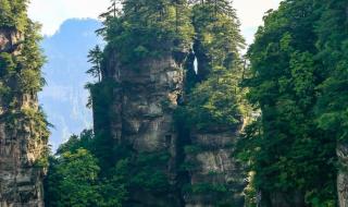 张家界的风景特点 张家界风景图片